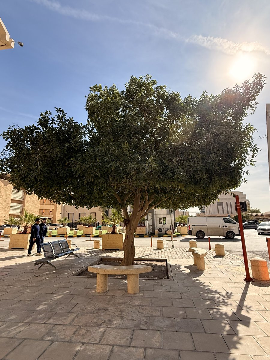 _human44's tweet image. ☀️🤍