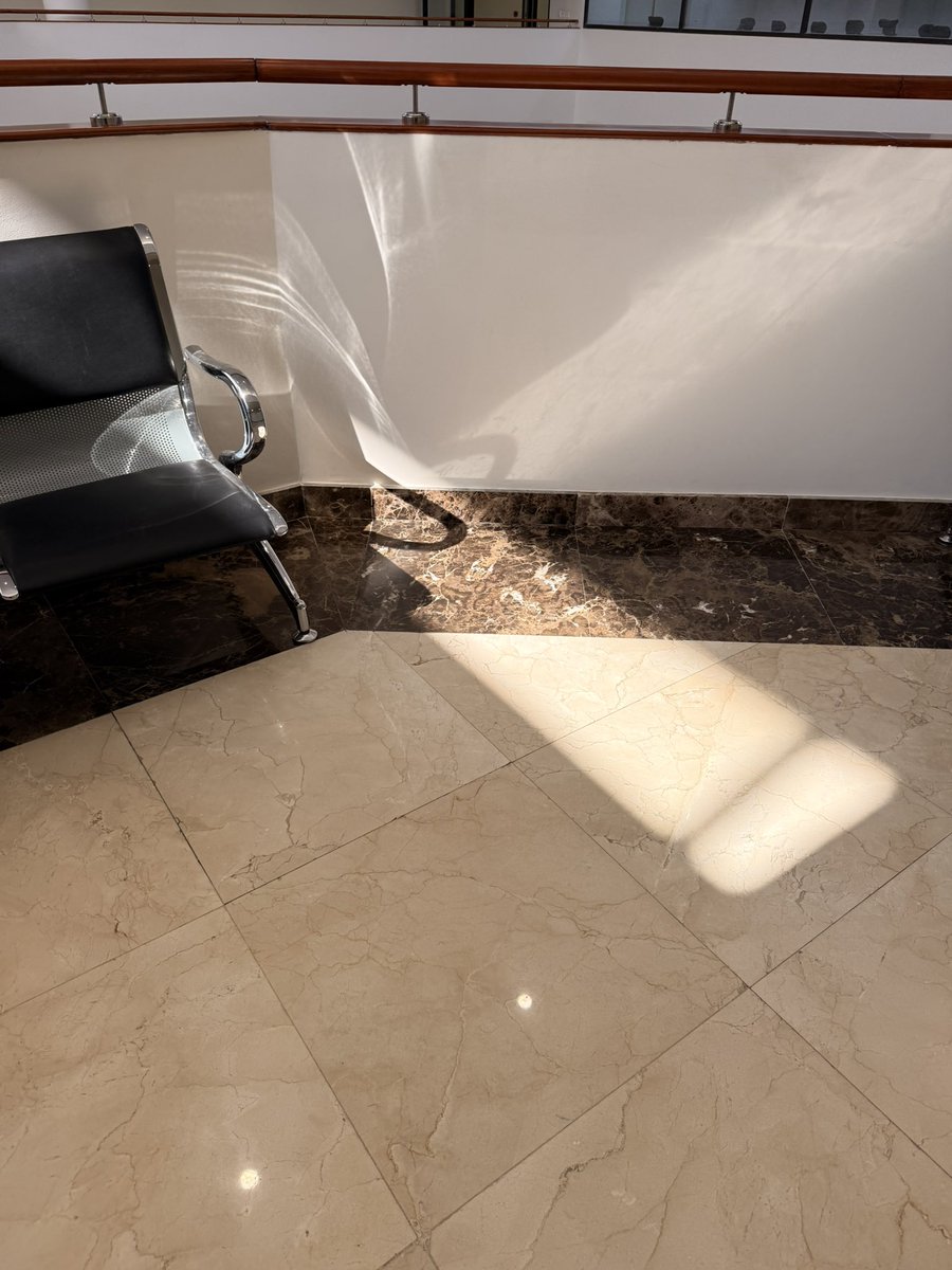 _human44's tweet image. ☀️🤍