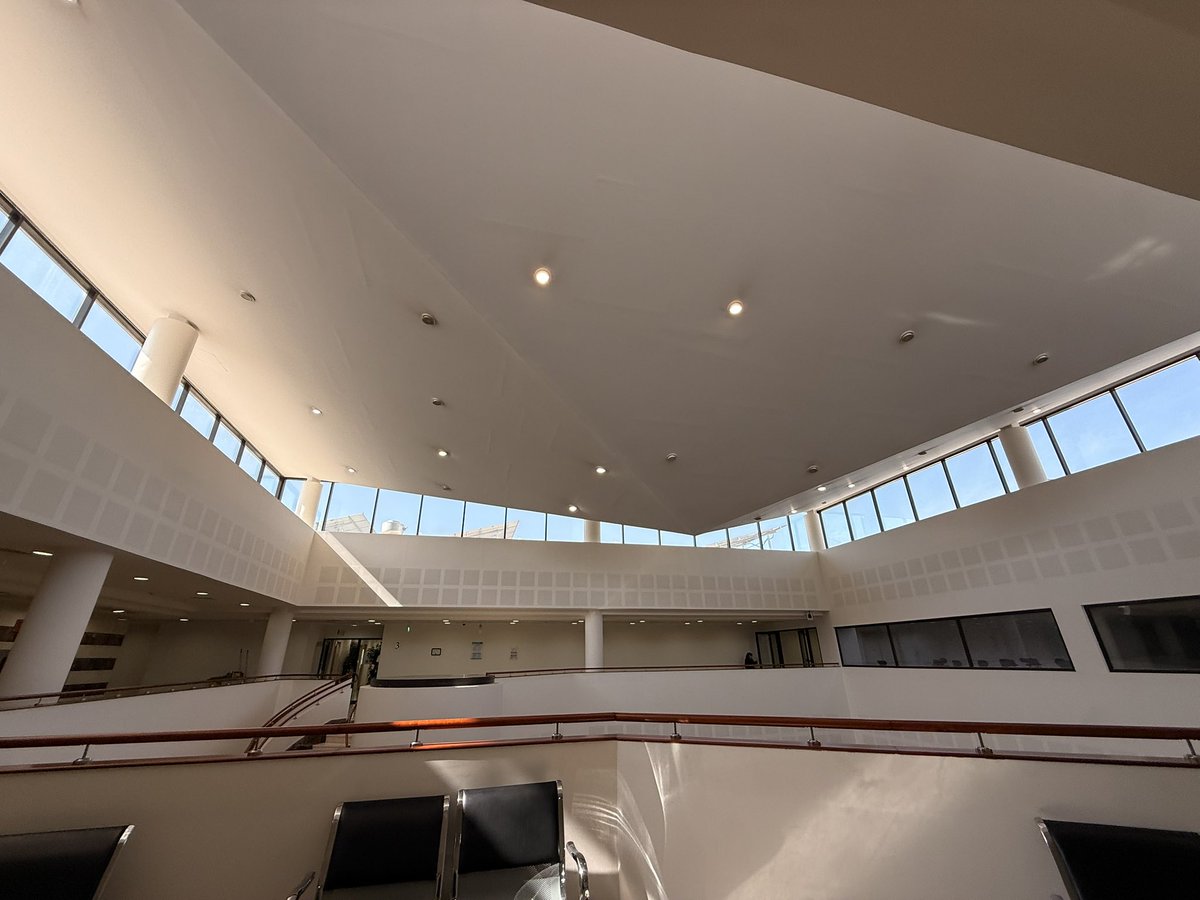 _human44's tweet image. ☀️🤍