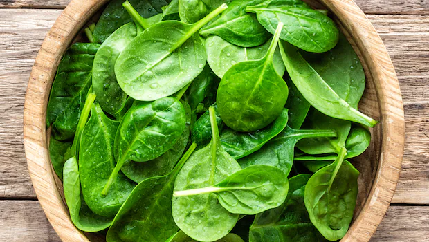 NDTVFood's tweet image. 4 Different Spinach Recipes From South India To Elevate Your Winter Diet
food.ndtv.com/food-drinks/sp…
#spinach #recipes #southindia