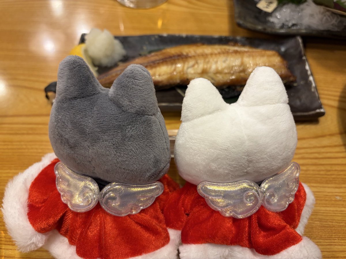 マルモリページ♡⃜ COMOLI 】2025SS Collection 4th delivery / スタッフブログ - ARKnets