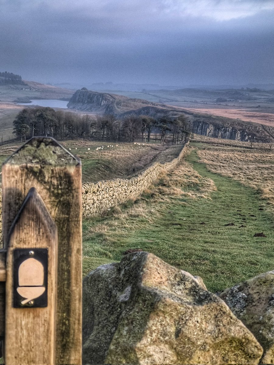 The fading of the year...
#hadrianswall #nationaltrail in the <a href="/NlandNP/">N'land National Park</a>