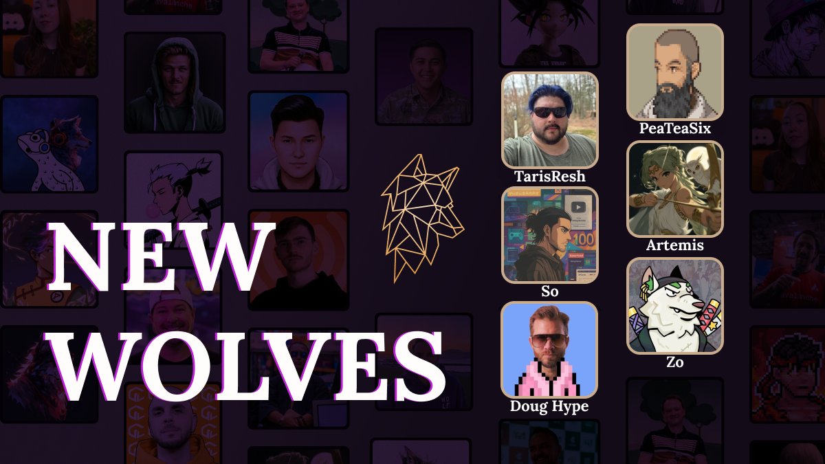 WolvesCo tweet media