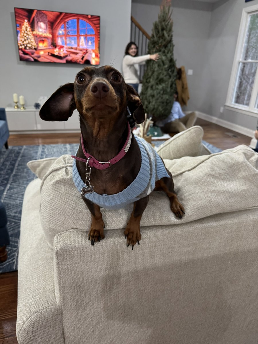 Great holiday weekend in the books...

Time to get back at it (for short week).

Happy Holidays Y'all!