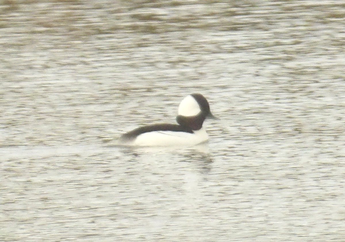 Jack Tynan tweet media