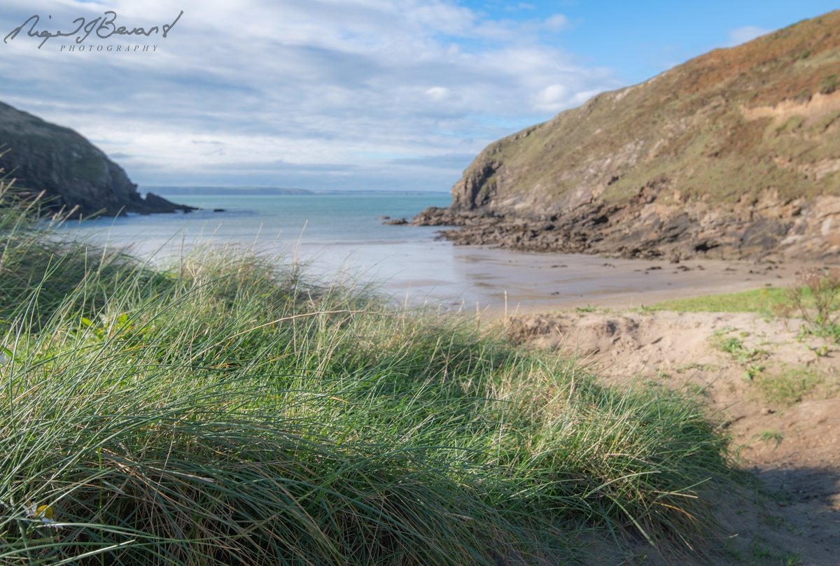 Nigel J Bevans Photo tweet media