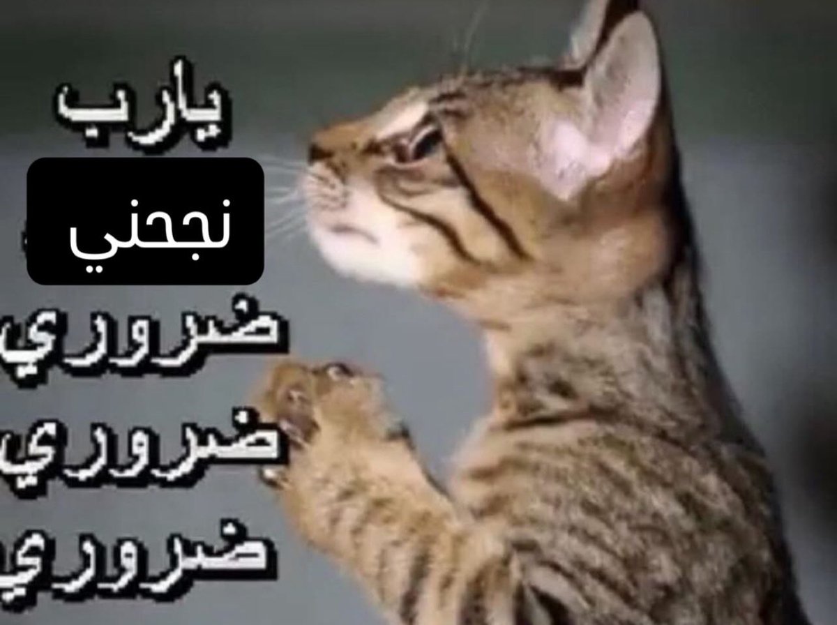 سيسي عبدو (@queensisi24) on Twitter photo 