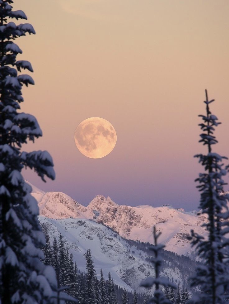 MOON PORN (@moonporn_) on Twitter photo 