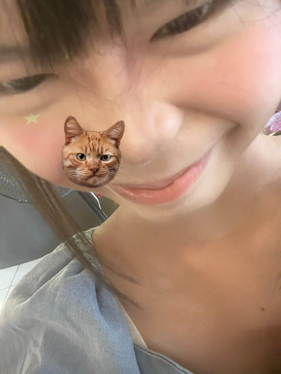 ttyeoki's tweet image. i love my goofy pics chat