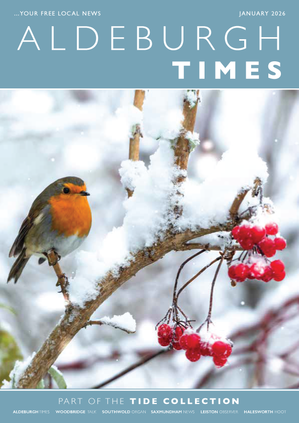 Tide Collection tweet media