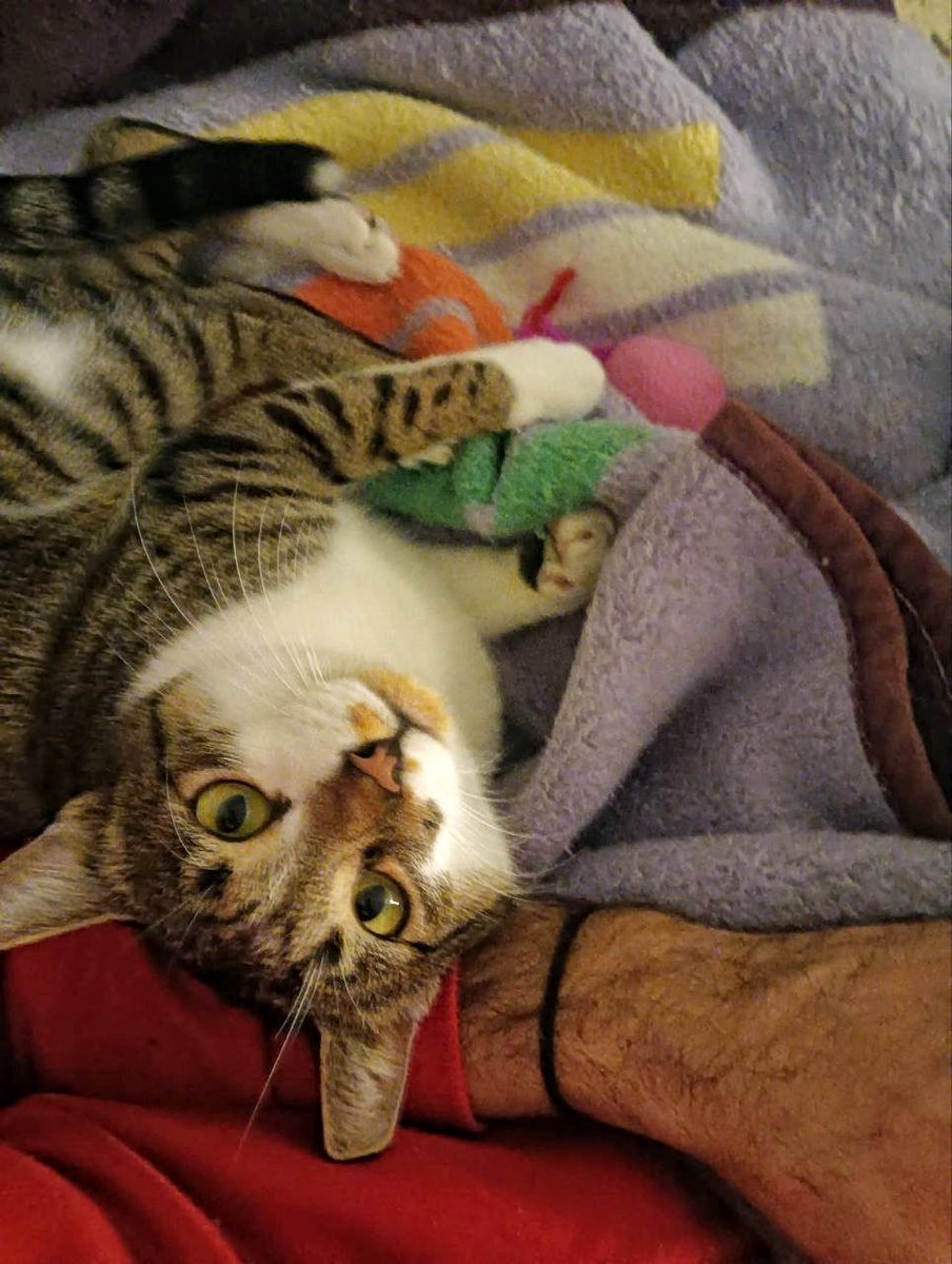 Dame la oportunidad de que a mi lado, solo lamentes una cosa: no haberme conocido antes.
Firmado: Bram

Contacta a las Engatadas para que te lo corroboren 😜