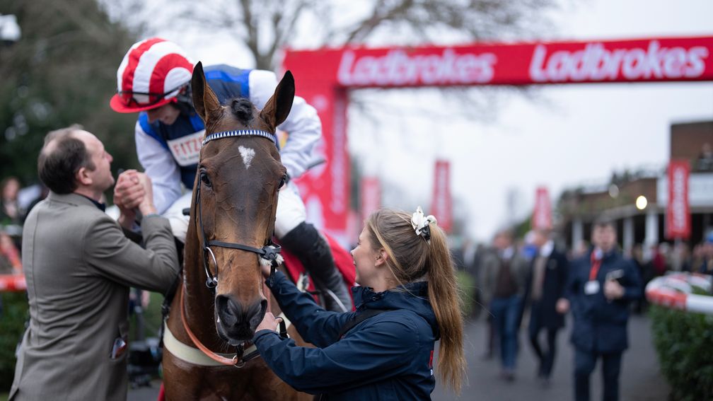 Racing Post Bloodstock tweet media