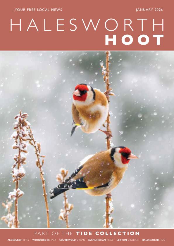 Tide Collection tweet media