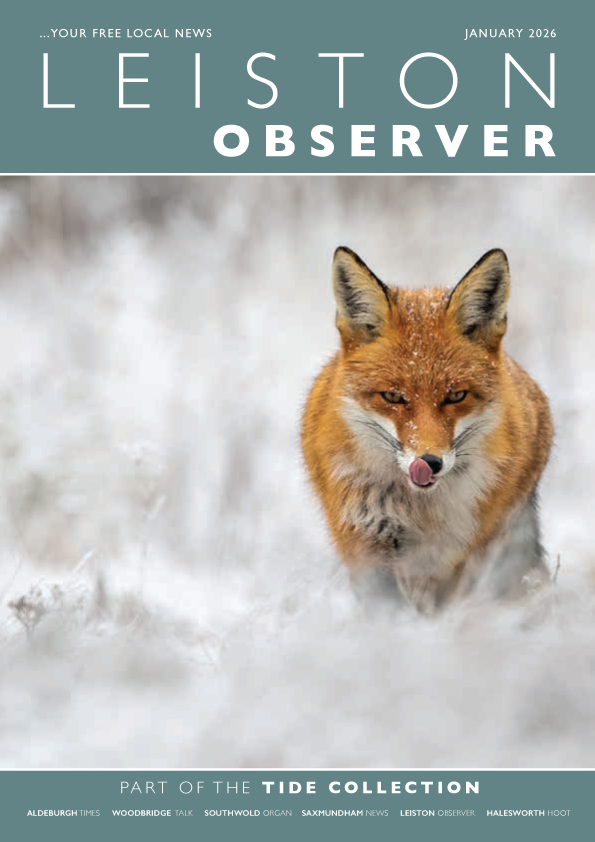 Tide Collection tweet media