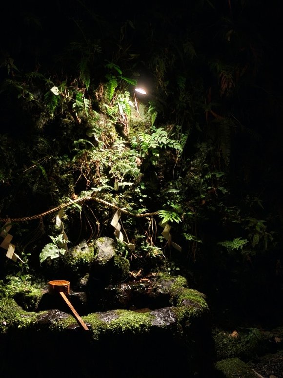 tekproom's tweet image. 夜の神社巡り、私は本当にお寺や神社を巡るのが大好きです。