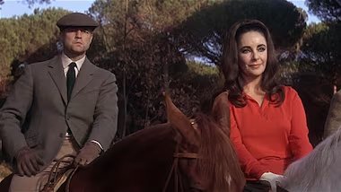 luizcmerten's tweet photo. Sua lista de dez + inclui obras que são viscerais também para mim – Morangos Silvestres, de Bergman, e Os Pecados de Todos Nós, que John Huston adaptou de Carsons McCullers, Reflections in a Golden Eye https://t.co/4oQaCTOLqf https://t.co/4C3PjosphN