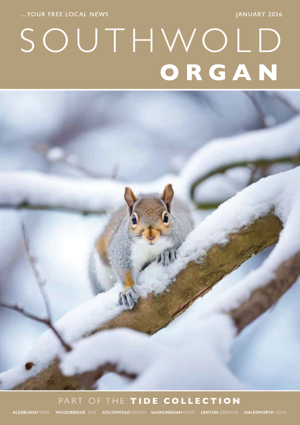 Tide Collection tweet media