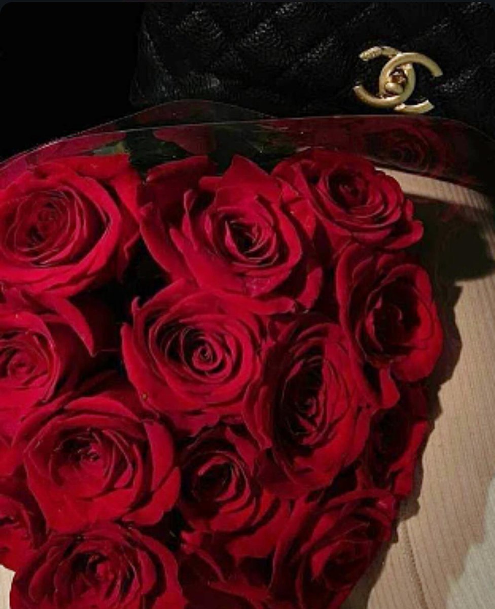 Jeseniavasso's tweet photo. 🌹✨ https://t.co/g1Aw81OvvT