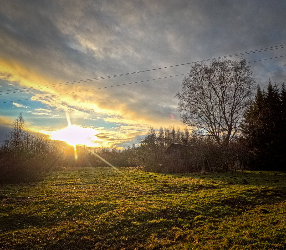 LatvianNature's tweet photo. Pēc 10 mākoņainām dienām beidzot bija zilas debesis un saule! 🌤️
#daba #nature #saule #decembris #naturephotography #latvija #latvia #lv https://t.co/esR8HAaqMJ