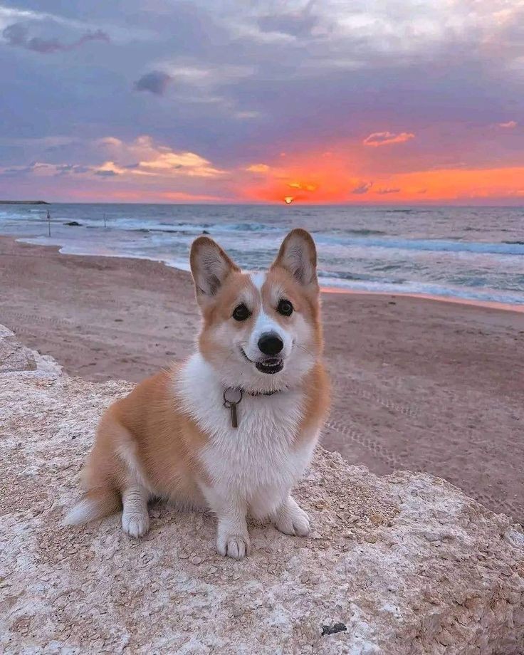 کمی زیبایی ببینین پارت ۶۳۹