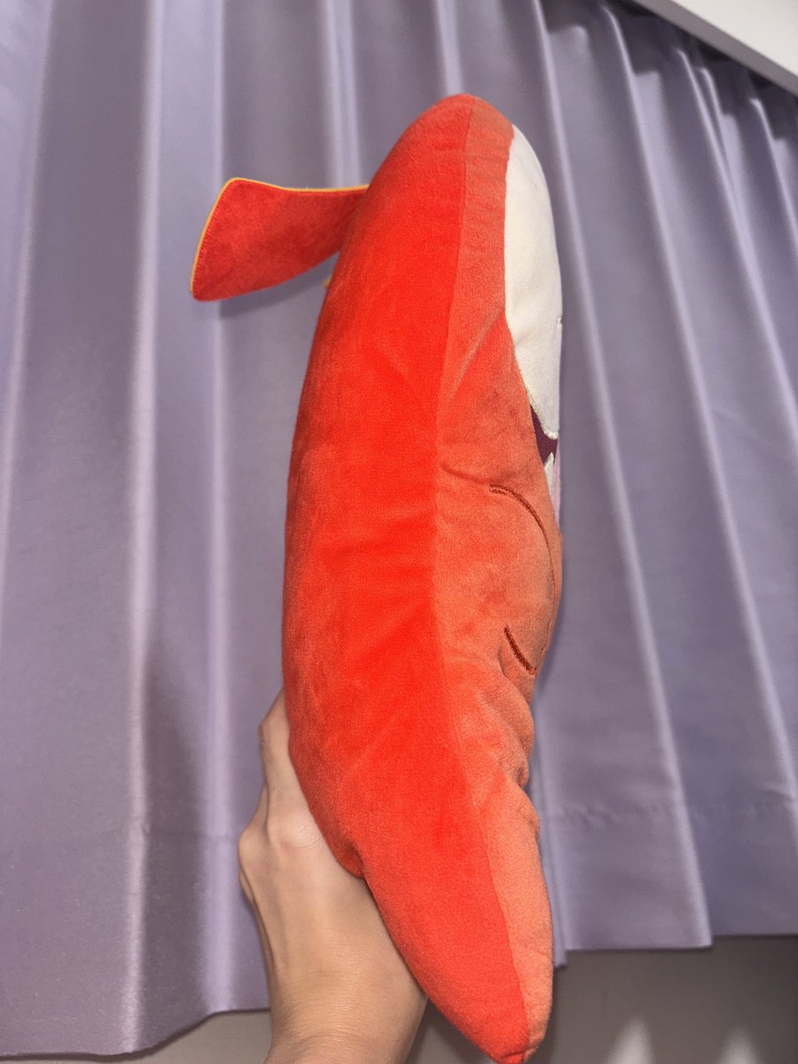 ぺったんこのホゲータ