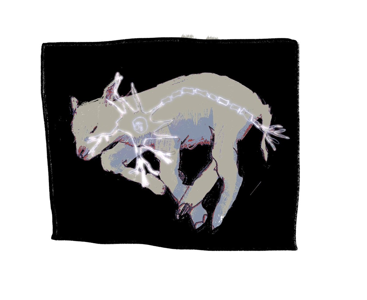 ioooooooo_o's tweet image. 