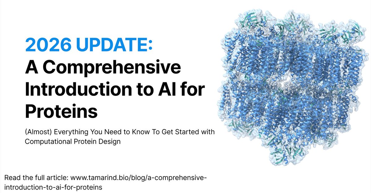 Deniz Kavi tweet media