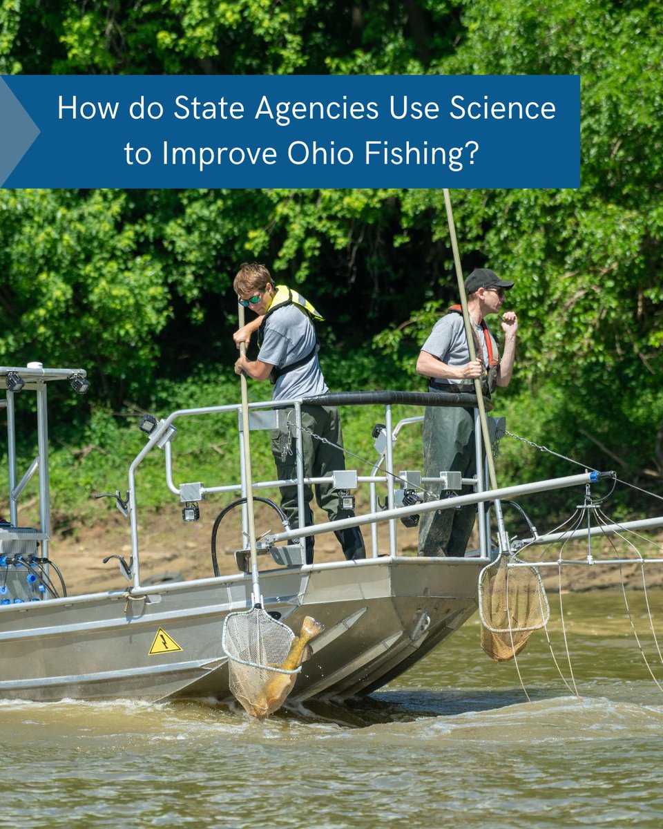 Leading fisheries research within Ohio is the Ohio Division of Wildlife’s Inland Fisheries Research Unit, which works year-round to better understand the state’s inland sport fish populations. 🎣

Learn more ➡️ fondriest.com/news/how-ohios…

PC: Tim Daniel.