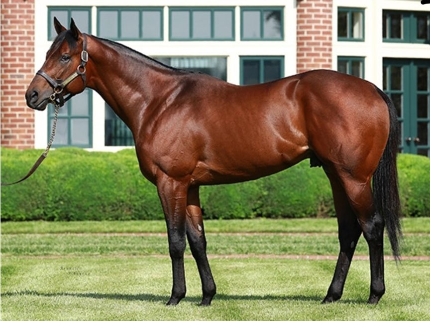 BidxSell Middle East tweet media