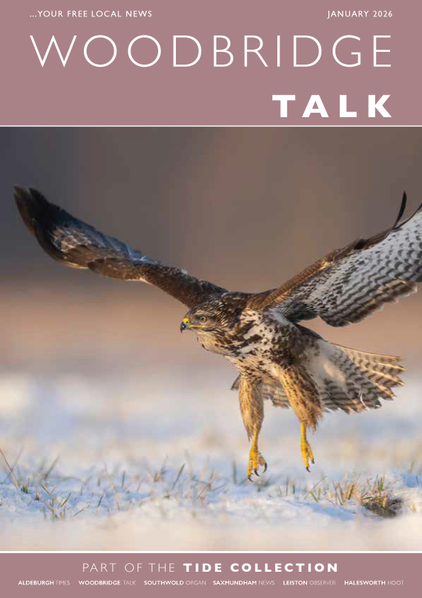 Tide Collection tweet media