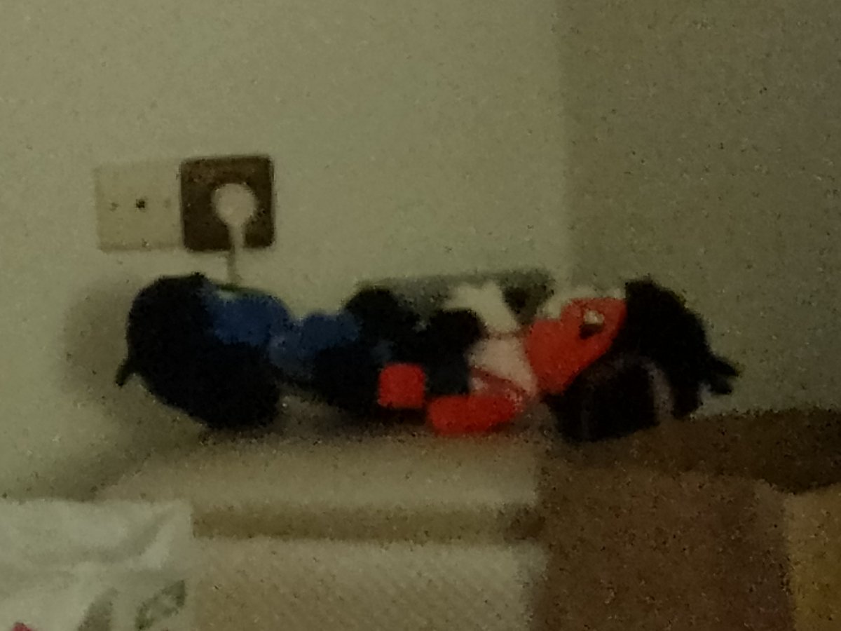 W1P_HOLO's tweet photo. Walked in my room to see my friend making the ENAs scissor https://t.co/0pWcHPUiYk