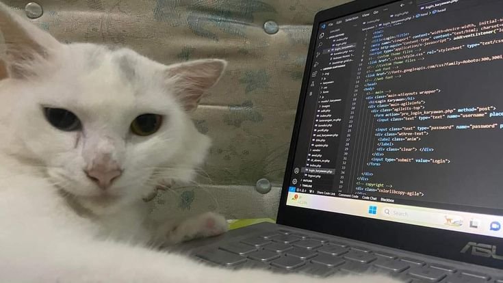 prajeevranjan's tweet image. Do you remember the year you started coding?
#code #coding #buildinpublic