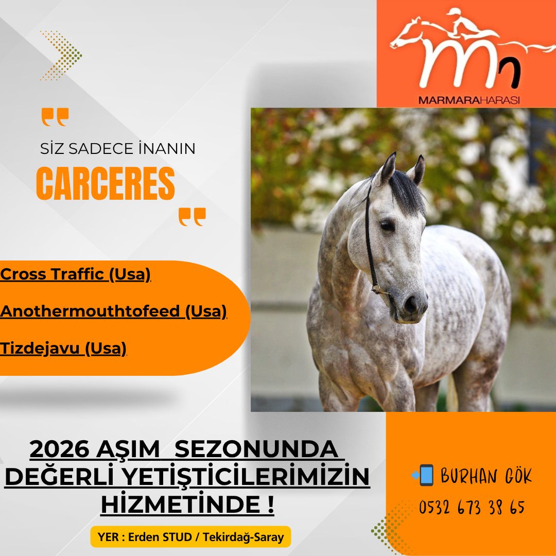 📌Mustafa Şişman'ın sahibi olduğu GOLD MADAL  👇

( Approve - I Fly High (Ire) / High Fly (Usa) )

📌İpek Erden'in sahibi olduğu SUNLIGHT MELODY 👇

( Mendip - Royal Tulip / Royal Abjar )

Aygırımız CARCERES'i ziyaret edecekler. Hayırlı olsun 🧿