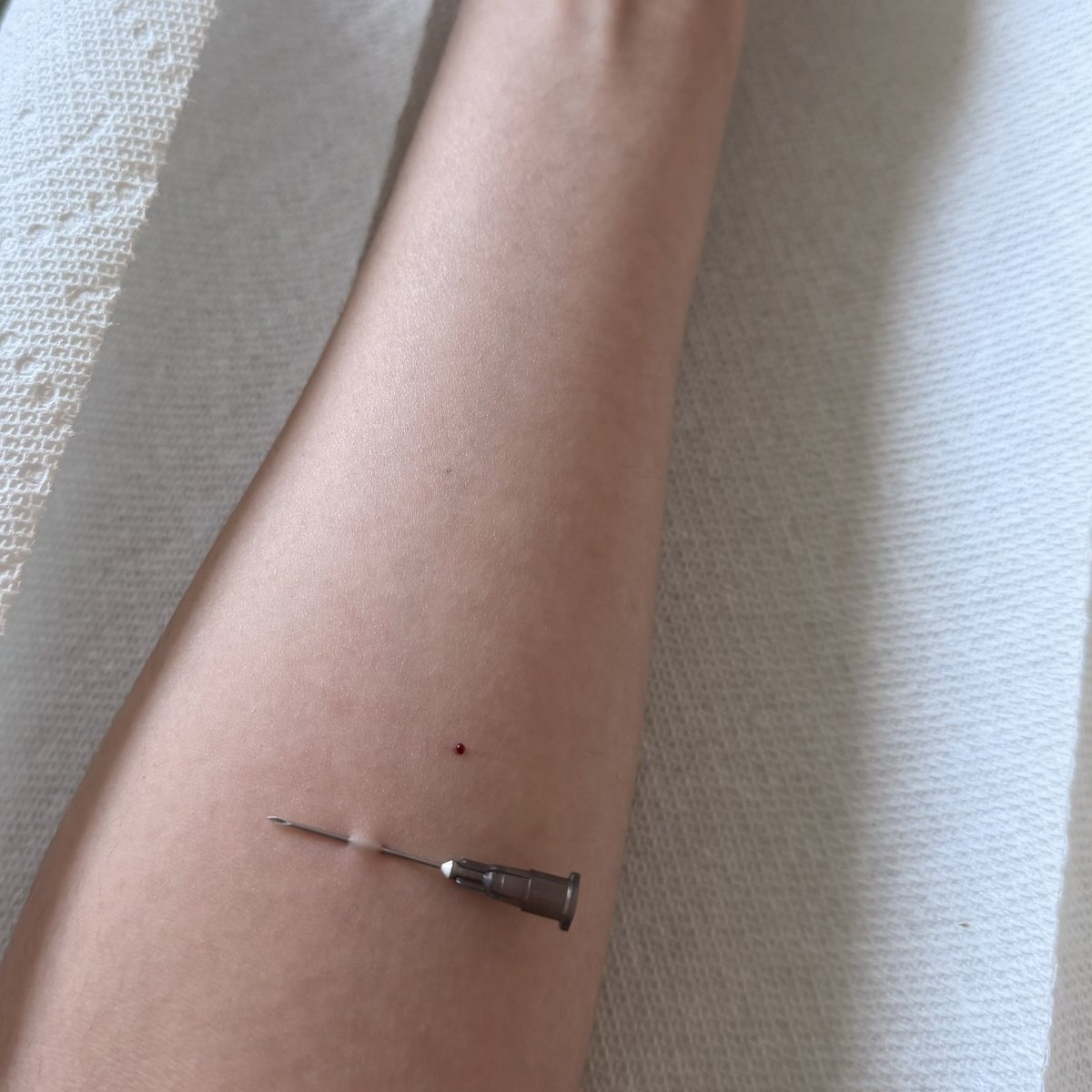 LoremIpsum tweet media