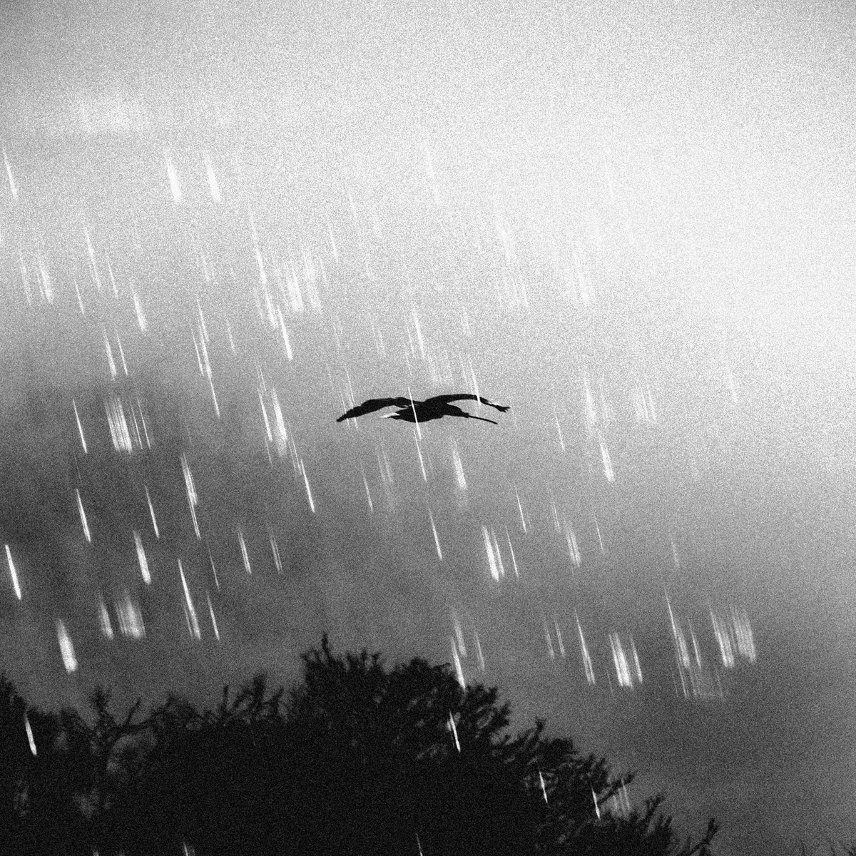 guca owl (グカール) (@guca_official) / Posts / X