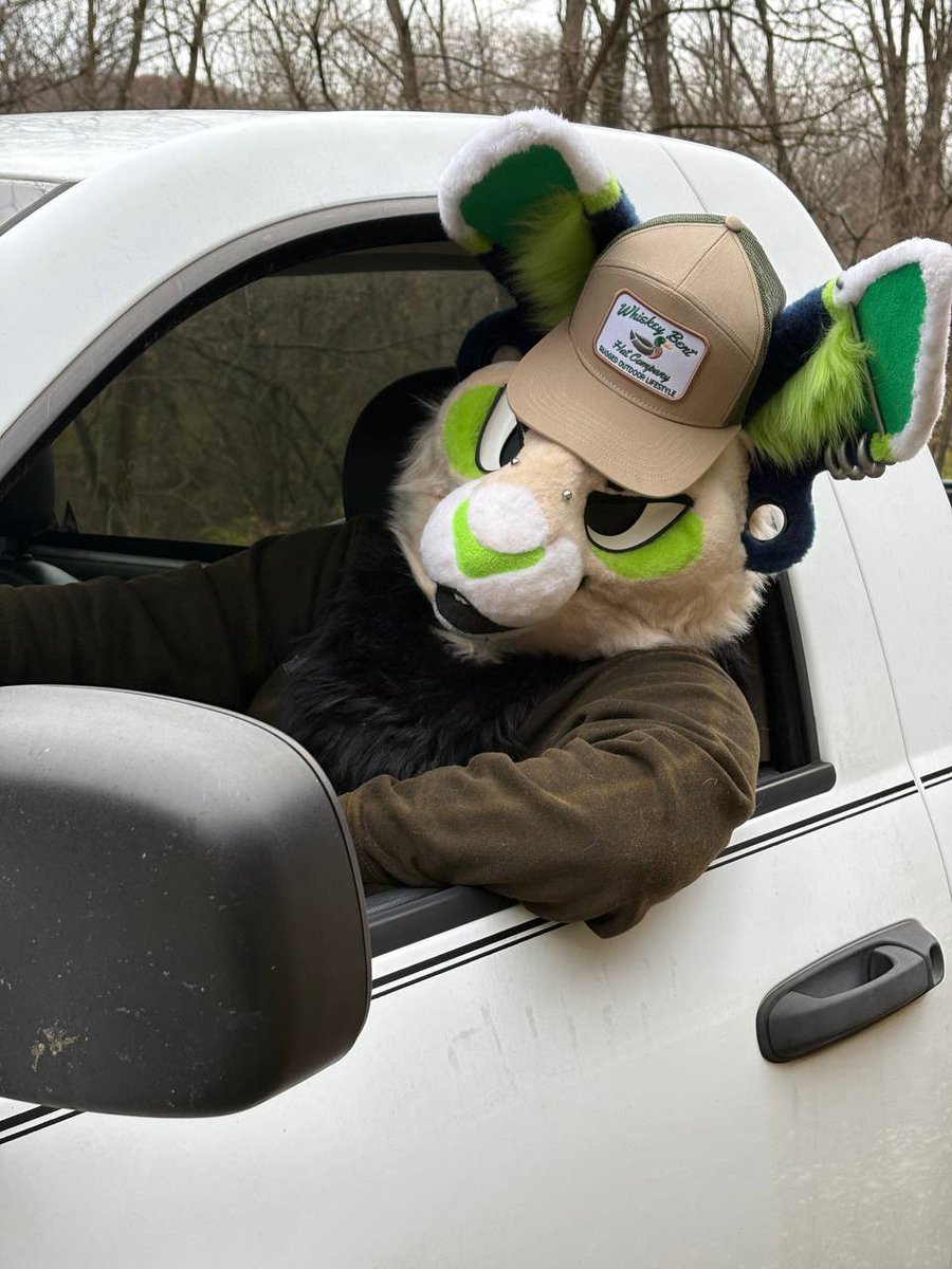 MountainhoodArt's tweet image. suit VS irl animal

boy why you so ears