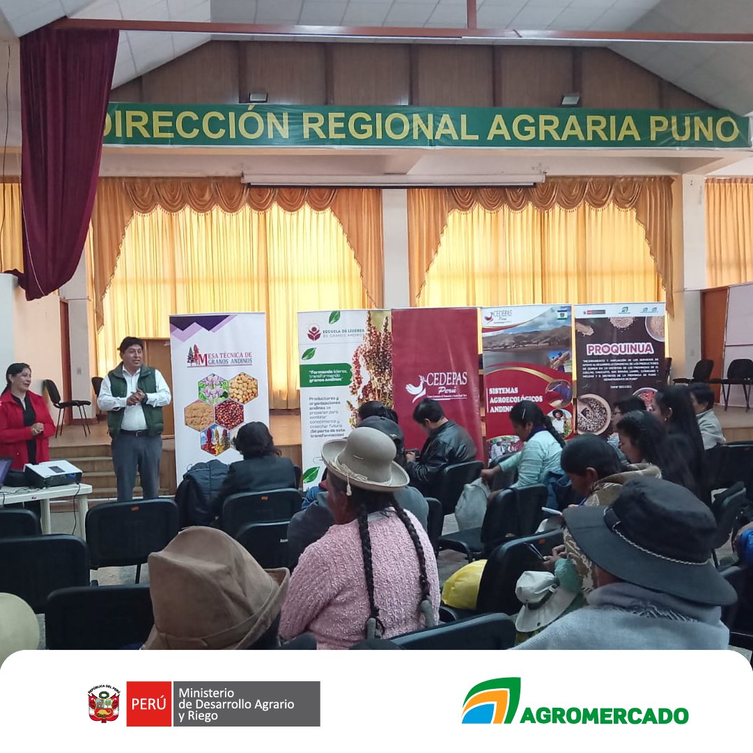 Agromercado_'s tweet photo. #Puno| En el marco del proyecto de inversión #ProQuinua, 50 productores se graduaron en la Escuela de Líderes de Granos Andinos 2025, que ejecuta #Agromercado. Fortalecieron sus capacidades en liderazgo y producción sostenible para potenciar los cultivos y seguridad alimentaria. https://t.co/9KXaMKngC3