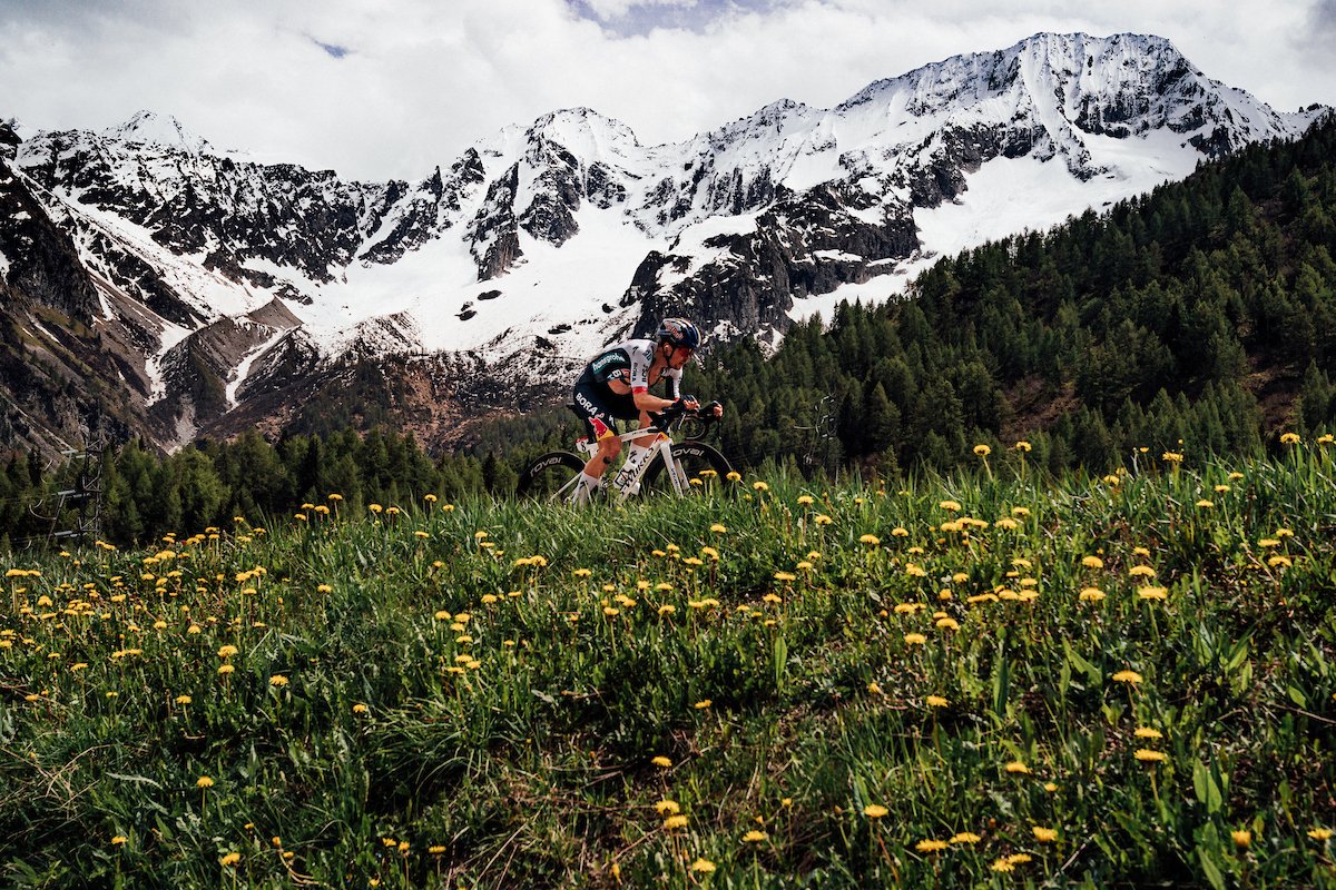 Dnlbenson tweet media