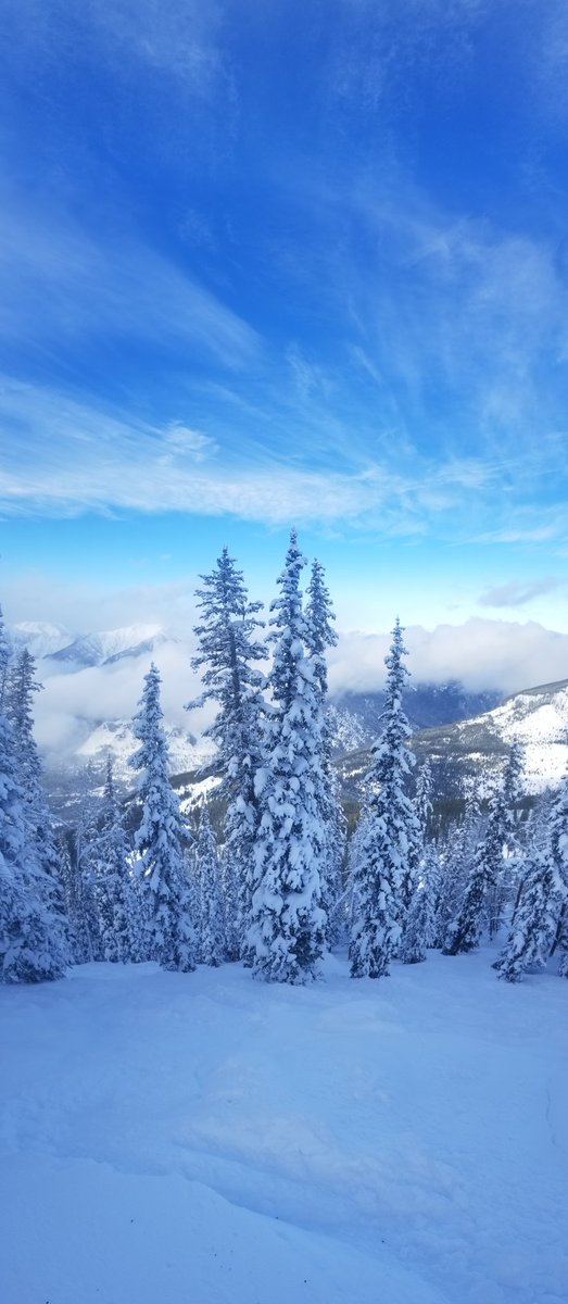 DerekMWright's tweet photo. Panoramas at panorama ski resort https://t.co/DP6vkqUibE