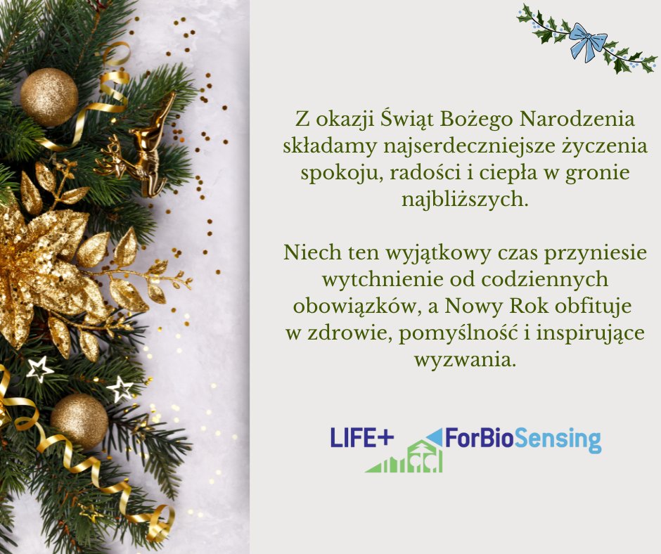 ForBioSensing's tweet photo. Z okazji Świąt Bożego Narodzenia składamy najserdeczniejsze życzenia spokoju, radości i ciepła w gronie najbliższych. Niech ten wyjątkowy czas przyniesie wytchnienie od codziennych obowiązków, a Nowy Rok obfituje w zdrowie, pomyślność i inspirujące wyzwania.

Zespół ForBioSensing https://t.co/0ehUAHjI7h