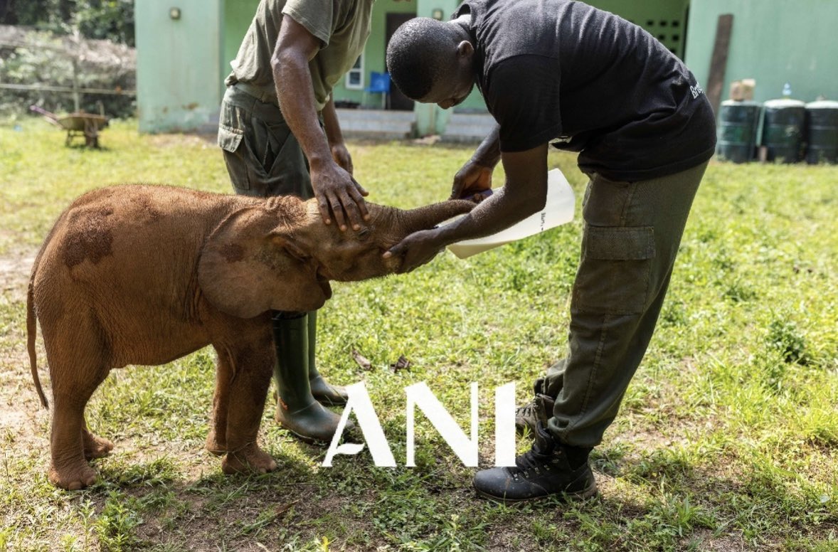 Africa Nature Investors Foundation tweet media