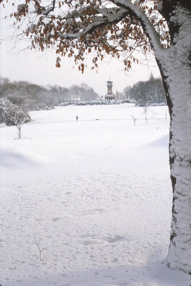 Barnsley Archives & Local Studies tweet media