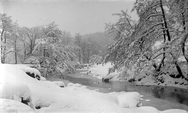 Barnsley Archives & Local Studies tweet media