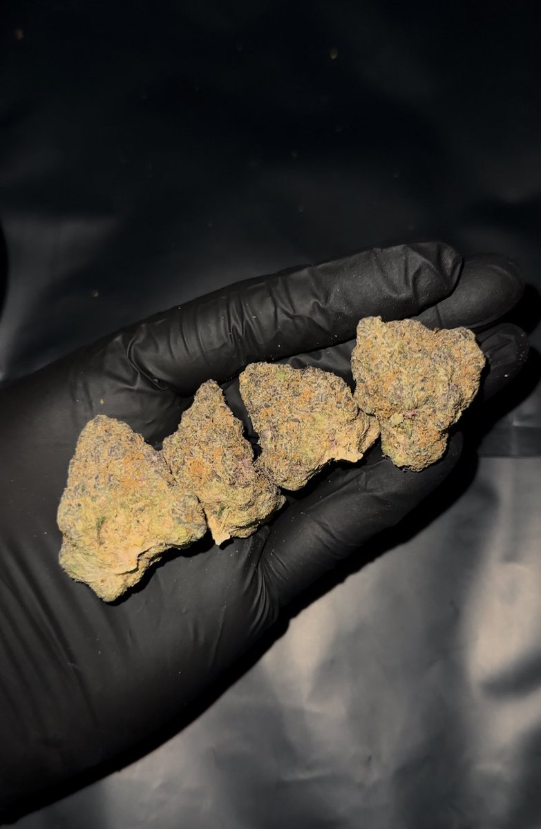 🥦Orange kush cake 🍊🍰
1g 50฿
5g 240฿
10g 450฿

THC 25-30%
Hybrid

Taste : หอมหวาน ลูกกวาด ผลไม้

ชนมือได้ที่สันติธรรม 🛵 กด grab ได้ทั่วเชียงใหม่

สั่งซื้อสินค้า All line.me/ti/p/o37u9LGvXi

 #กัญชาเชียงใหม่ #กัญชากรุงเทพ #กัญชาแม่โจ้ #กัญชาอัดแท่ง #กัญชากรีนแคก #กัญชาออแกนิค