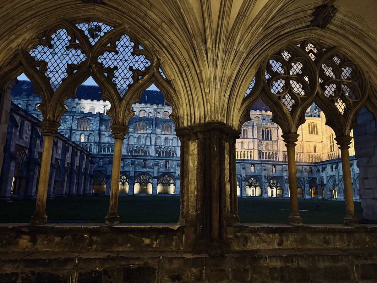 Strife212's tweet image. Norwich is extremely cute