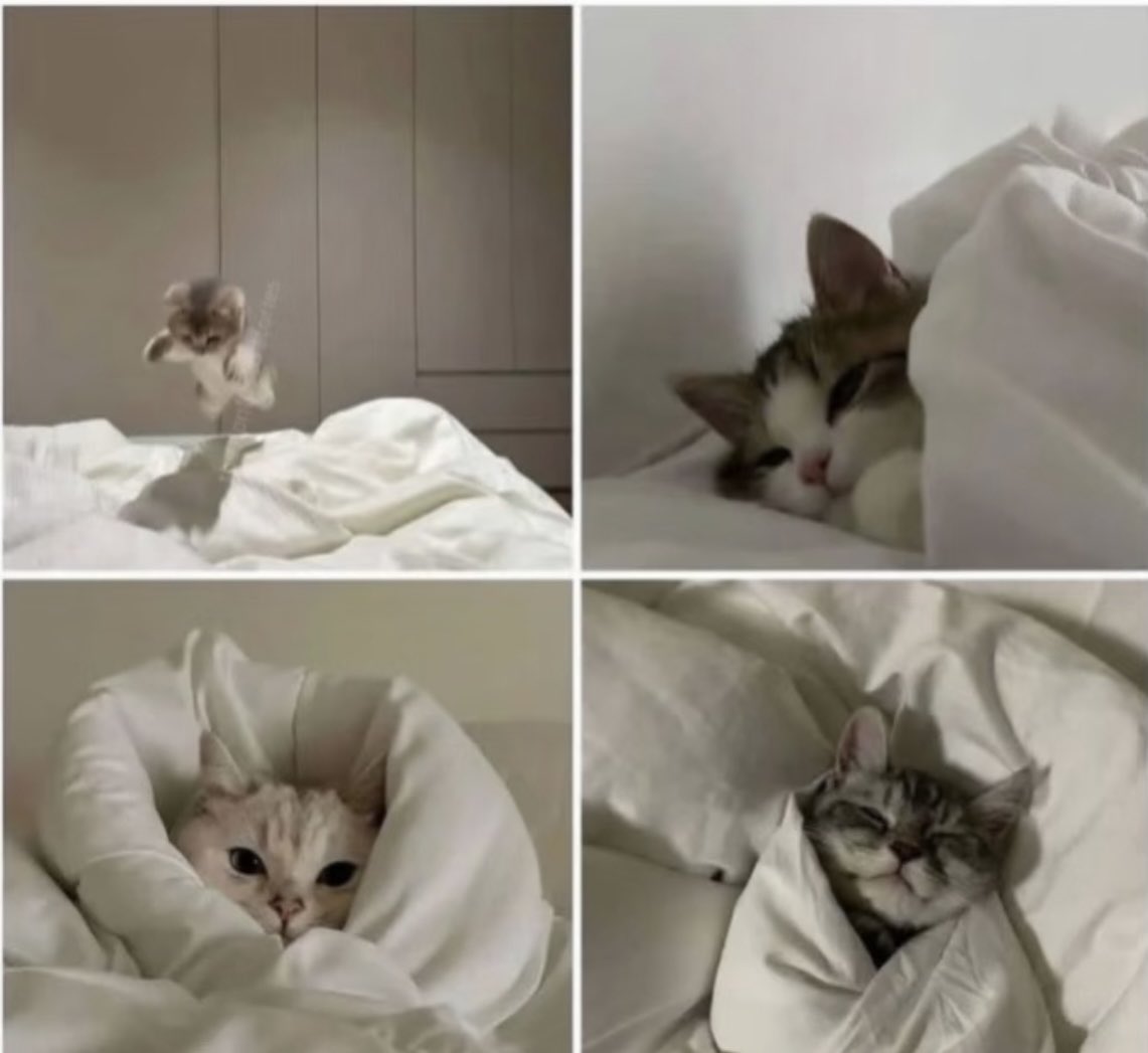 Keyla.tb🪙🪙k tweet media