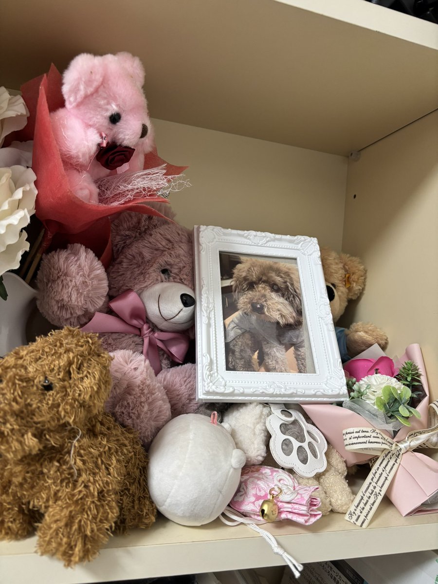 なつぴ (@natsupikkk) / Posts and Replies / X