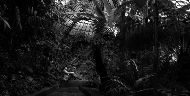 Visita_Madrid's tweet image. Si te apetece un plan diferente estos días, esta exposición en el @RJBOTANICO  es una buena opción. A través de fotografía, vídeo y testimonios, da voz a 26 mujeres referentes en ciencias, artes y letras.
👉esmadrid.com/agenda/26-muje…
#Madrid #Planes #Exposición