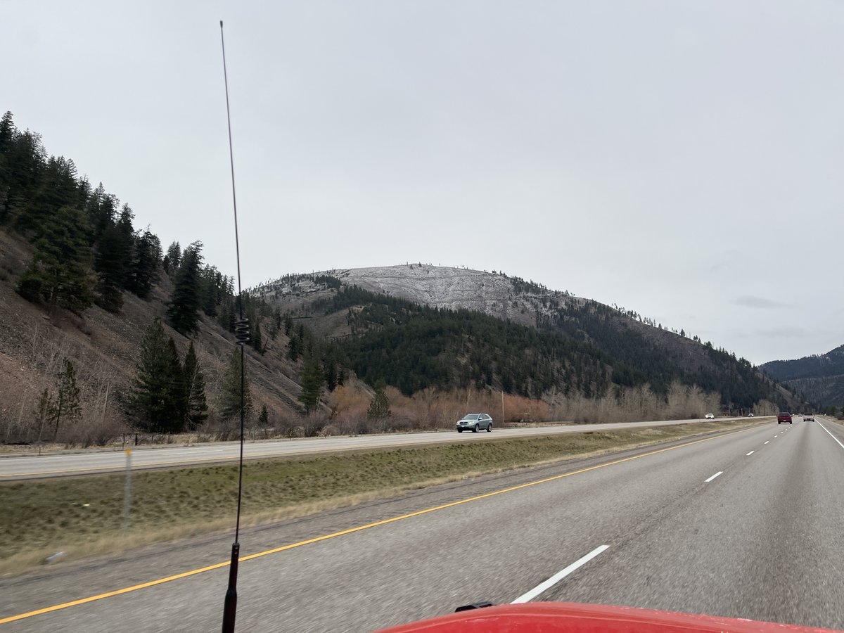 Allen Le Vie tweet media