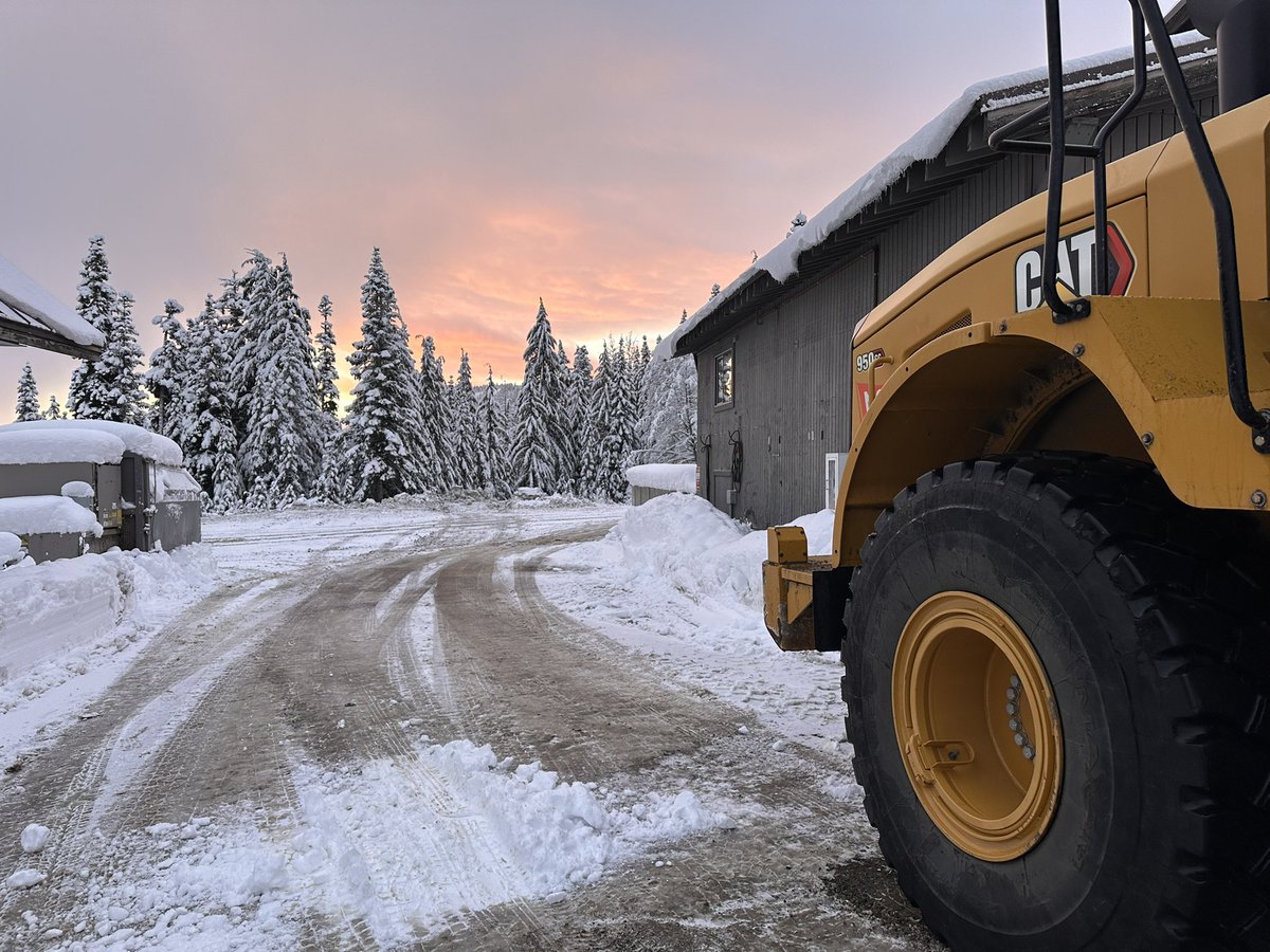 Dirty Paws tweet media